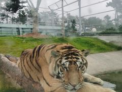 -西霞口神雕山野生动物世界