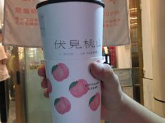 -伏小桃(明瓦廊店)