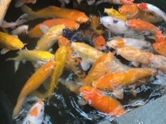 -上海大自然野生昆虫馆(东方明珠·爬宠昆虫探索中心)