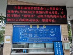 -矿泉游泳场