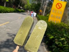 -清溪森林公园