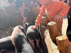 -长鹿旅游休博园