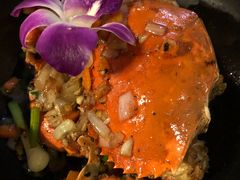-Onion restaurant