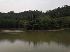 -滴水岩森林公园