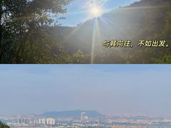 -南海湾森林生态园