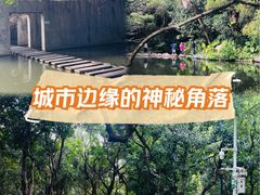 -燕晗山郊野公园