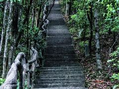 -梧桐山风景名胜区