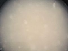 -怪噜范·老贵阳街头名小吃(世纪金源旗舰店)