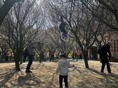 -中山市树木园