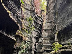 -梭布垭石林景区