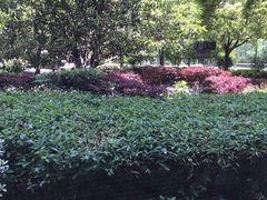 -风度国际生活广场-停车场