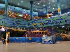 -青岛嘉年华主题乐园