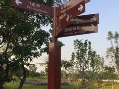 -王借岗森林公园