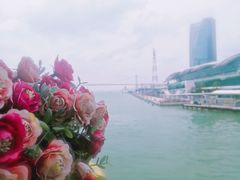 -国际邮轮中心码头(厦鼓码头)