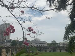 -石炮台公园