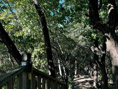 -帽儿山国家森林公园