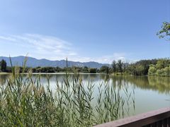 -翠湖国家城市湿地公园