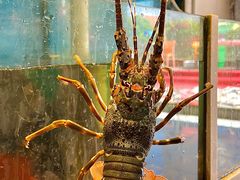 -鑫悦楼煎蟹·16年海鲜大排档