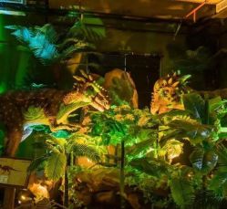 -恐龙探索乐园(磁器口店)