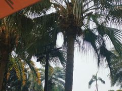 -白天鹅宾馆-健身中心