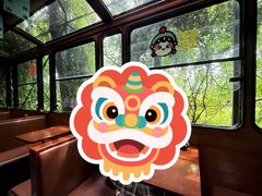 -合肥滨湖国家森林公园
