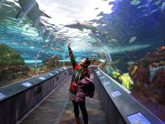 -瑞普利水族馆