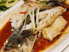 -红杏酒家·地道川菜(一品天下店)