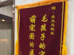 -宠爱国际动物医院·消化内科·心肾内科·ISFM猫友好(望京店)