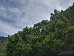 -黔灵山公园