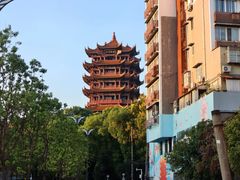 -黄鹤楼公园(黄鹤楼)