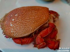 -Social 秀西餐厅-长沙瑞吉酒店(运达店)