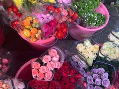 -循礼门鲜花花市(武汉循礼门店)