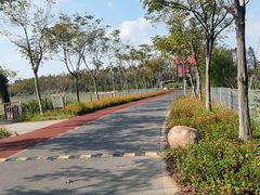 -上海长兴岛郊野公园