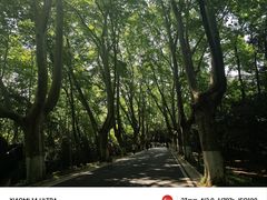 -WeLope紫金山探险公园