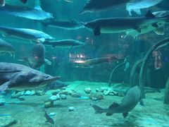 -华夏文旅海洋公园