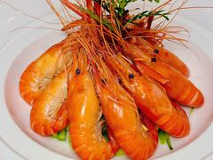 -北山柒号·柒号庭院餐厅