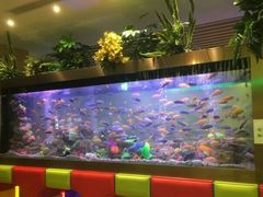 -御池园(顾村公园店)