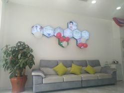 -莱可美科技美肤