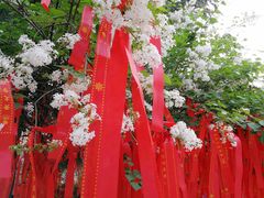 -西安青龙寺遗址景区