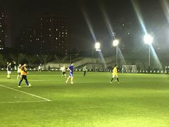 -八万人体育馆-外场足球场