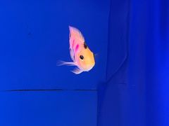 -大润发(王庄店)