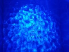 -杭州西湖星空魔幻城(星空艺术馆品牌旗舰店)