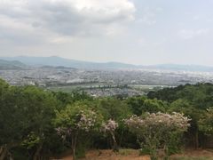 -岚山猴子公园