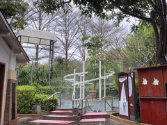 -碧水湾温泉