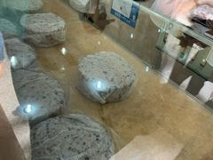 -杨招娣糕点(装驾桥巷店)