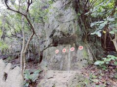 -广西龙虎山风景区
