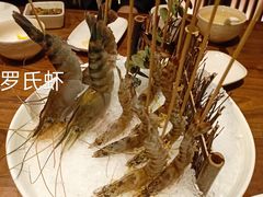 小九节虾-揽季锅物会.福建黄鱼.海鲜姿造(五四路店)