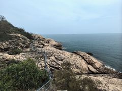 -广东惠东海龟国家级自然保护区