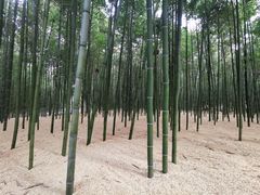 -同里国家湿地公园