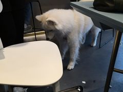-KYO COFFEE(胶州路店)